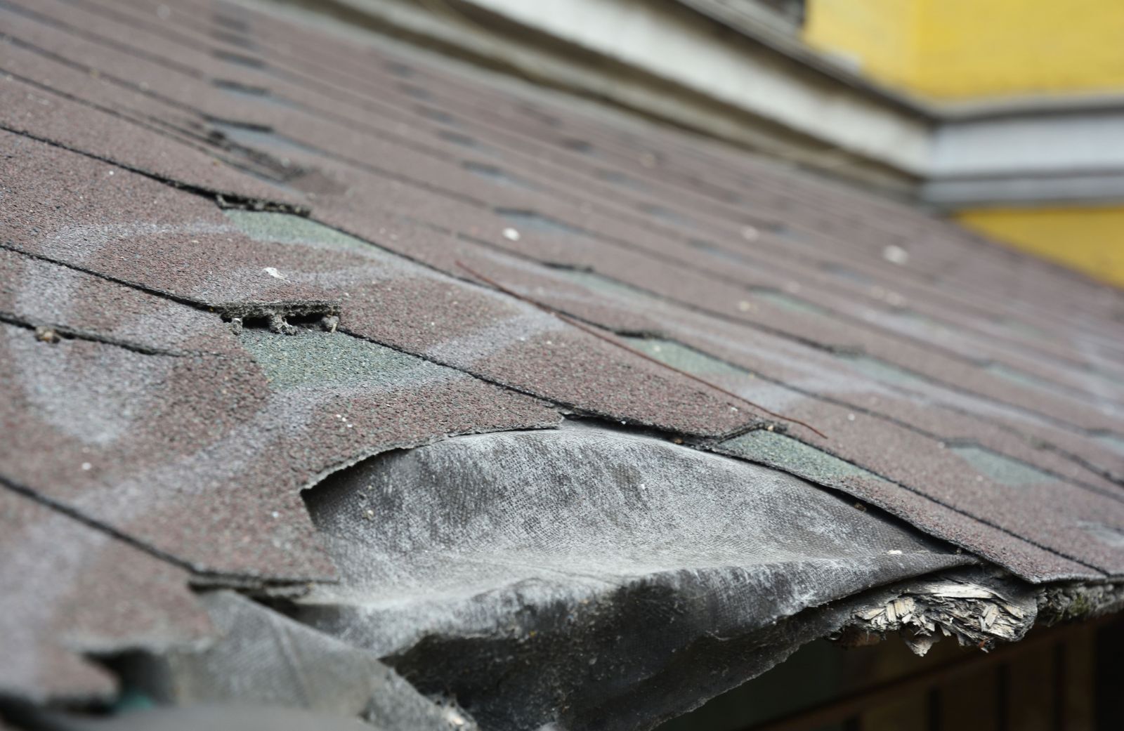 Tejas Roofing & Gutters Images