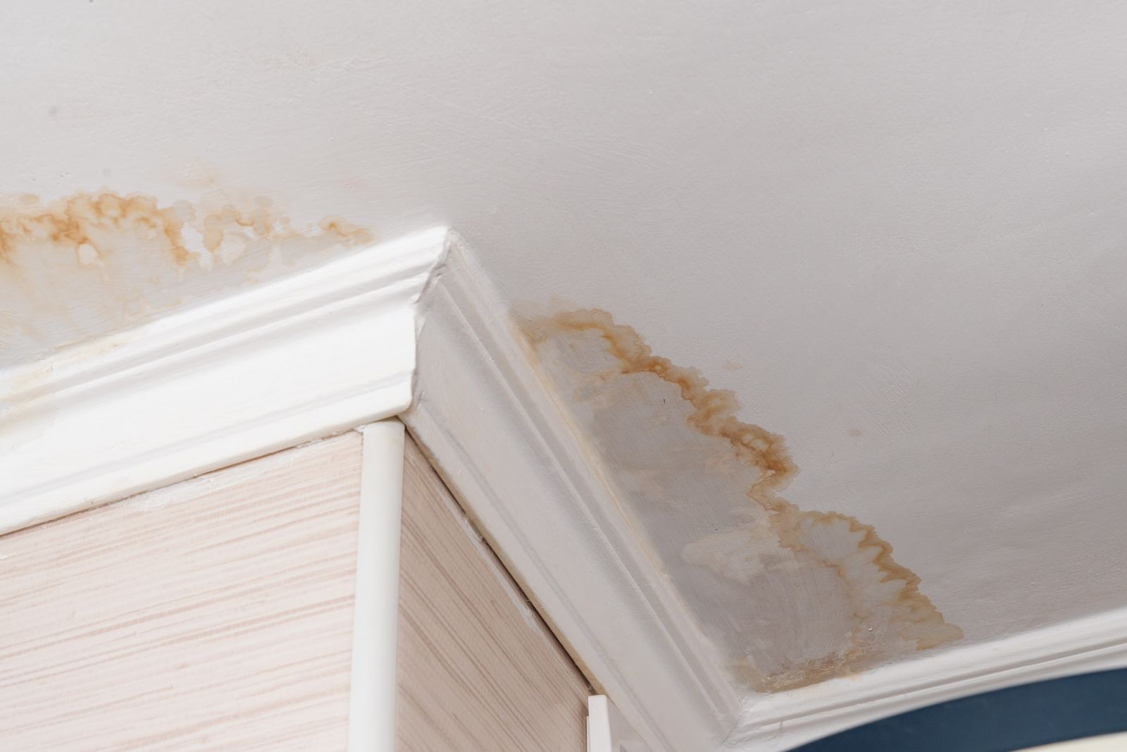 Tejas Roofing & Gutters Images