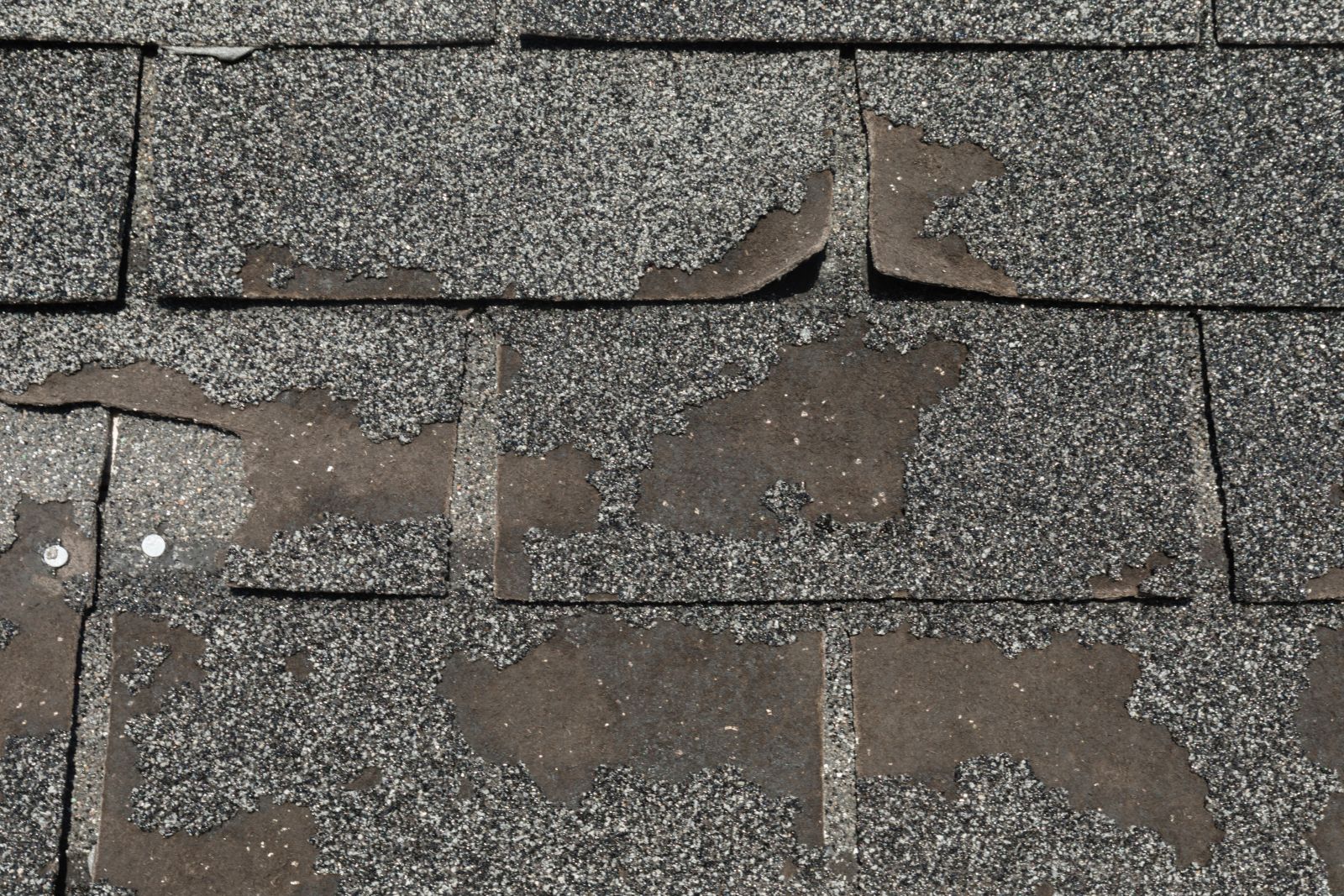 Tejas Roofing & Gutters Images