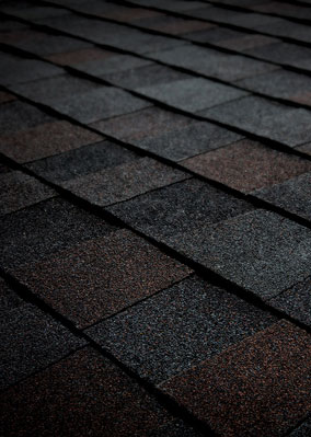 Tejas Roofing & Gutters Images