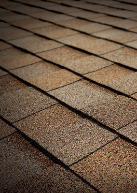 Tejas Roofing & Gutters Images