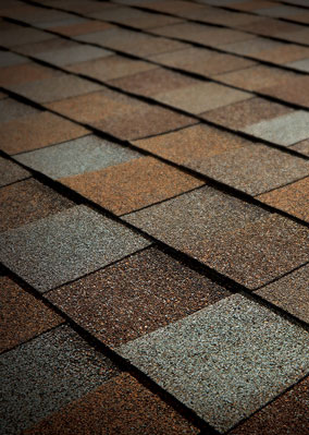 Tejas Roofing & Gutters Images