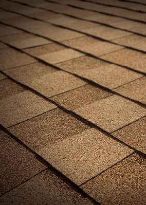 Tejas Roofing & Gutters Images