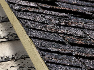 Tejas Roofing & Gutters Images