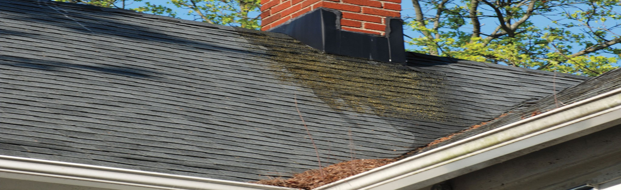Tejas Roofing & Gutters Images